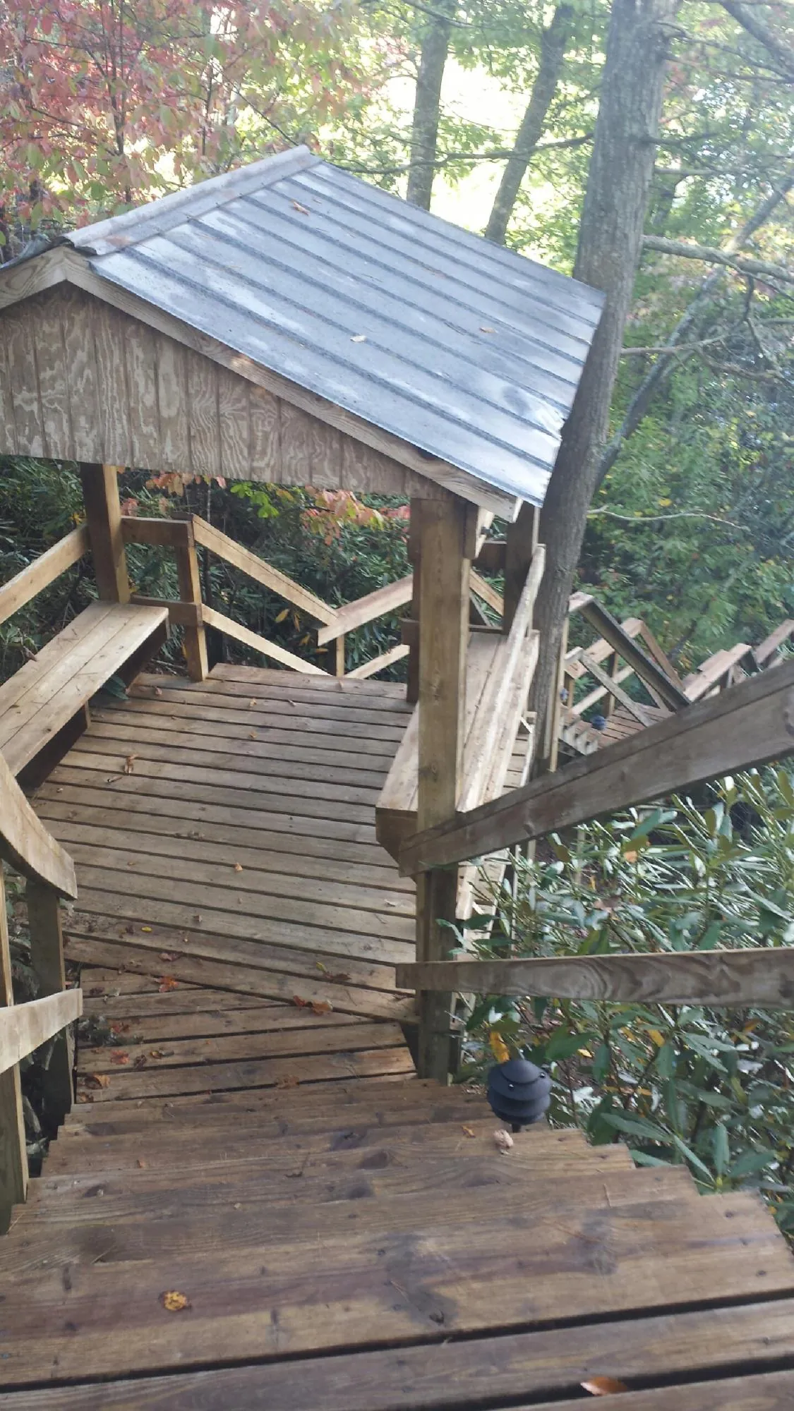 Metal roofed shelter over wooden steps on a wooded walkway — Skylight Repair & Installation work by our crew in Selbyville